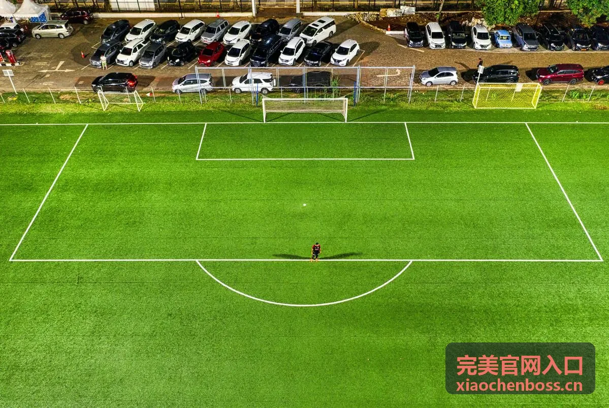 完美官网入口下载入口指南的深色背景画面